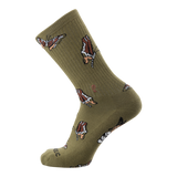 Media 10