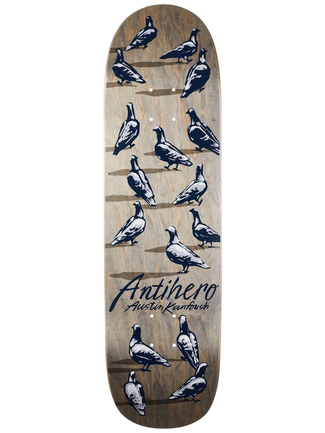 Anti-Hero Austin Kanfoush Dawn of the Pigeon Skateboard Deck 8.55"